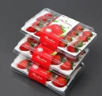 Wholesale Plastic Strawberry Containers - Durable & Clear