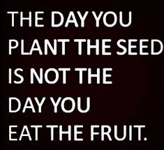 Pin By Jillian Fortin On Motivation Inspiration Mental Wellbeing Soul Uplifting Patience Quotes Words Quotes