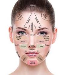 When Skin Care Professionals Perform A Skin Analysis They