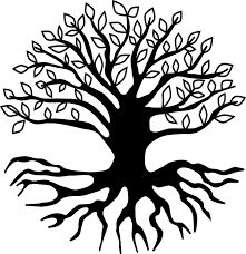 Imagine the ground beneath your tree has worn away. Download Hd Root Tree Branch Drawing Leaf Tree With Roots Clipart Png Transparent Png Image Nicepng Com