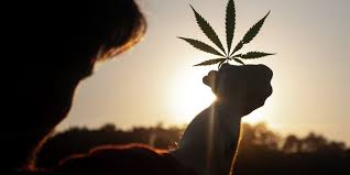 Marijuana, or marihuana, is a name for the cannabis plant and more specifically a drug preparation from it. Hasta Febrero Sabremos Si Se Aprueba O No La Marihuana En Mexico Confirmo Amlo