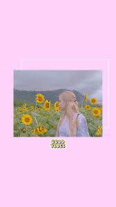 Aesthetic Black And Pink Roses Rose Soft Pink Wallpaper In 2020 Pink Wallpaper Rose Wallpaper Cute Wallpapers