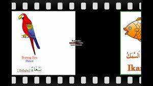 Bahasa arab memiliki kosa katanya sendiri untuk menyebut hewan. Nama Nama Hewan Dalam Bahasa Arab Yang Ada Di Indosesia Youtube