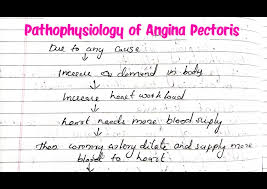 Image result for Angina Pectoris