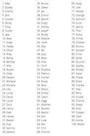 Black And White Bunny Names Boy Good Parakeet Names Google Search Hamster Names Rabbit Names Dog Names