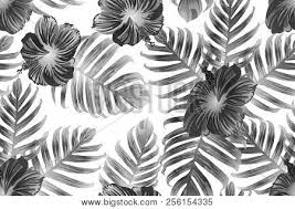 We did not find results for: Black White Exotic Vector Photo Free Trial Bigstock