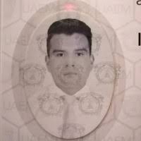 400+ "Elfego" profiles