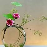New Workshop: Japanese Flower Arrangement with a Clear Vase