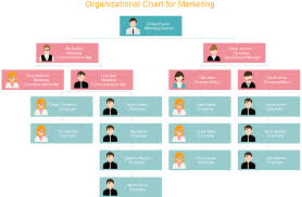 Organizational Chart For Marketing