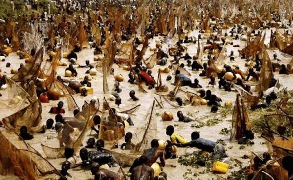 Tinubu Celebrates Argungu Fishing Festival: A 59kg Catch Steals the Show!