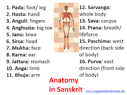 Pin By Kasie On Yogi Life Yoga Words Kundalini Yoga Video Yoga Lessons