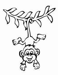 Image result for monkey picture cartoon