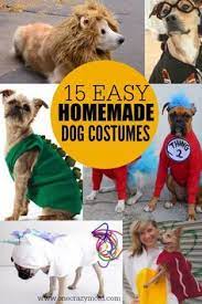 Homemade Dog Costumes 15 Diy Costumes For Your Dog Diy Dog Costumes Pet Costumes For Dogs Pet Halloween Costumes