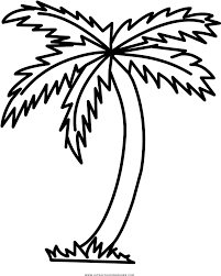 Palm tree pictures, images and stock photos. Palm Tree Coloring Page Palmeira Para Colorir Clipart Full Size Clipart 3654460 Pinclipart