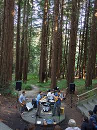 Uc botanical garden at berkeley. Concerts Chance To Enjoy Secret Berkeley Redwood Grove