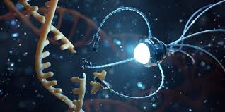 La nanotecnología: una herramienta clave para desarrollar nuevos fármacos –  Oligofastx