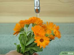 Plus, drying flowers you've grown yourself is an excellent way to extend your enjoyment of the fruits of your labors. How To Dry Edible Flowers 7 Steps With Pictures Wikihow