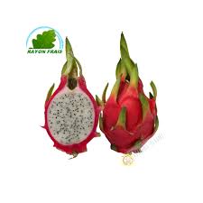 Check spelling or type a new query. Frucht Dragon Pittaya Stuck Kosten Ca 700g