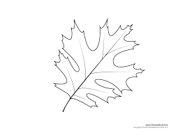 Maybe you would like to learn more about one of these? Leaf Templates Leaf Coloring Pages For Kids Leaf Printables