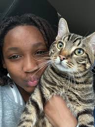 Rehoming 1-year-old male tabby cat in Fayetteville NC