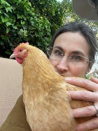 Need to rehome my sweet girl. She's a 2 year old labradoodle. She's sweet  as can be. House and kennel trained. I just started allergy shots and the  transition has been impossible.