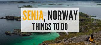What does senja mean in english? The Best Things To Do In Senja Norway Worldering Around