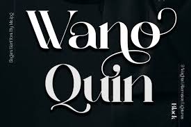 1 nba bulls nba bulls macromedia fontographer 4. Wano Quin Black Beautiful And Elegant Serif Font 1034309 Serif Font Bundles