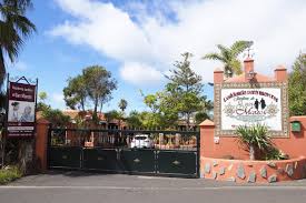 We did not find results for: Fallecen Por Coronavirus Dos Personas Mayores De Una Residencia De Tegueste Diario De Avisos