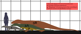 Monitors In 2019 Monitor Lizard Komodo Dragon Giant Animals