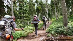 It is a scenic introduction to a variety of yellowstone's habitats and is a good place for birding. Yellowstone Backpacking Lamar Valley To Pelican Valley Rei Adventures