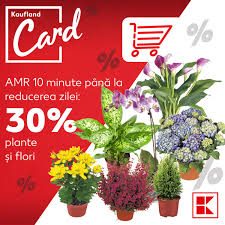 Nu ne asumăm răspunderea pentru eventualele. Florile Nu Sunt Doar Pentru Ocazii Kaufland Romania Facebook