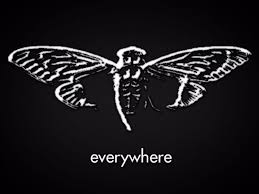 I'm the great immortal # 312. Cicada 3301 Returns After Year Of Silence With Cryptic Tweet