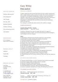 bfsi business analyst resume