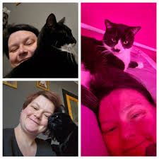 My 3 boys leo kai and casper 😻🐾🐾😻🥰🥰