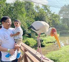 Taman burung kuala lumpur mengadakan promosi pengurangan harga tiket bagi membolehkan orang ramai berkunjung ke taman burung ini dan promosi ini berlangsung sepanjang bulan julai. Harga Tiket Taman Burung Kl Utk 2021 Pakej Online