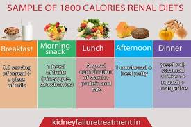 Miscellaneous Topics Diet Chart For Whom Have Chronic