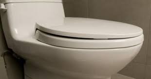 How To Remove The Screws On A Toilet Seat Clogged Toilet Toilet Drain Flush Toilet