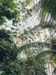 Berlin Botanical Garden Haarkon Adventures In 2020 Botanical Gardens Tropical Greenhouses Berlin