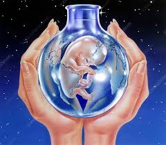 In Vitro Fertilisation Conceptual Image Stock Image C029 5176 Science Photo Library