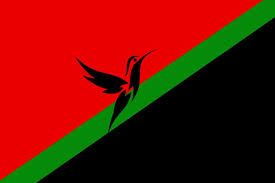 Le même jour que le référendum sur l autonomie de la martinique. Le Drapeau Propose Par Une Jeune Martiniquaise Fait L Unanimite Sur Les Reseaux Sociaux People Bo Kay