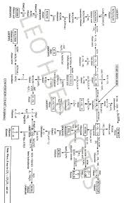 Organic Chemistry Conversions Leo Hseb Notes