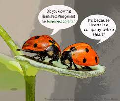 Do it yourself pest control supplies for the home, yard and garden. Organic Pest Control Green Pest Control Hearts Pest Management