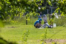 Ipswich River Nature Camp: Naturalists - Predator Prowl