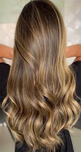Beyoncé tends to keep her hair in the honey hued range between golden blonde and lighter brunette colors, which always looks on point whether it's in lob form, sleek and. Gorgeous Hair Colour Trends For 2021 Shiny Honey Blonde Hair Colour