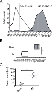 Bsdk is an abusive word. Functional Assessment Of Intestinal Motility And Gut Wall Inflammation In Rodents Analyses In A Standardized Model Of Intestinal Manipulation Protocol