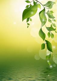 Hơn 200000 hình minh họa Thiên Nhiên và Màu Xanh Lá Cây miễn phí - Pixabay