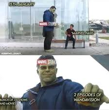 The Best Wandavision Memes