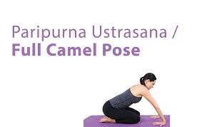 For some, it will come easily and, for others, it will take some practice. Paripurna Ustrasana Full Camel Pose Asana International Yoga Journal