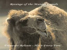 Camels have long been domesticated and, as livestock, they provide food (milk and meat) and textiles (fiber and felt from hair). Download Revenge Of The Mutant Camels Dos Games Archive