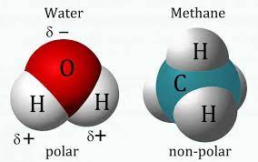 If you talking about electronegativity of this compound, in this case, hydrogen and carbon has less electronegativity. What Kind Of Life Would We Find On Titan